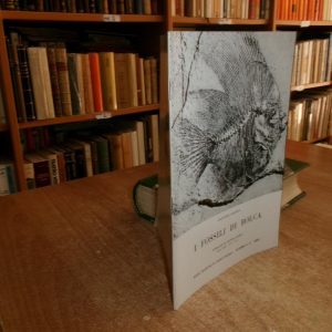 I Fossili di Bolca (Estratto da Natura Alpina…). GIOVANNI SOLINAS 1971