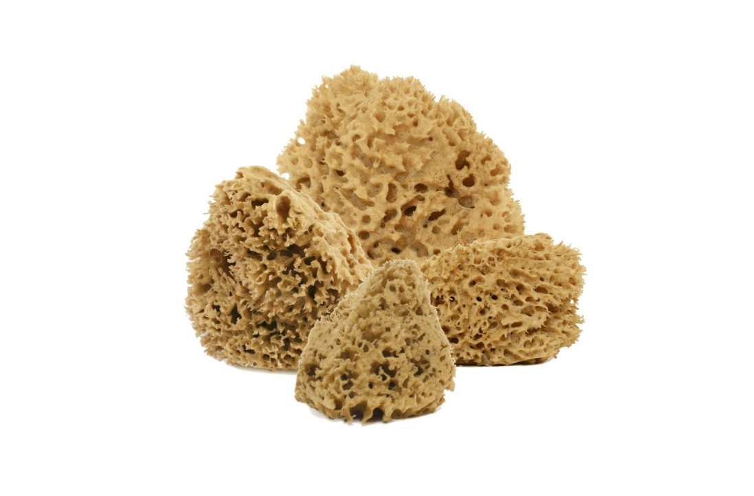 Cose della Natura – Arcipelago Lavata 18/20 gr