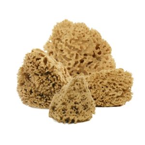 Cose della Natura – Arcipelago Lavata 24/26 gr