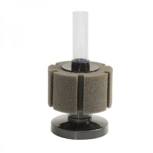 Ista – Bio-sponge – Round Bio Foam Mini