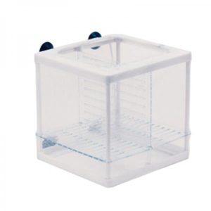 Ista – Double Isolation and Breeding Box – sala parto in rete