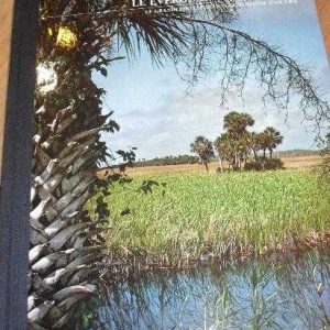 Le Everglades in Florida