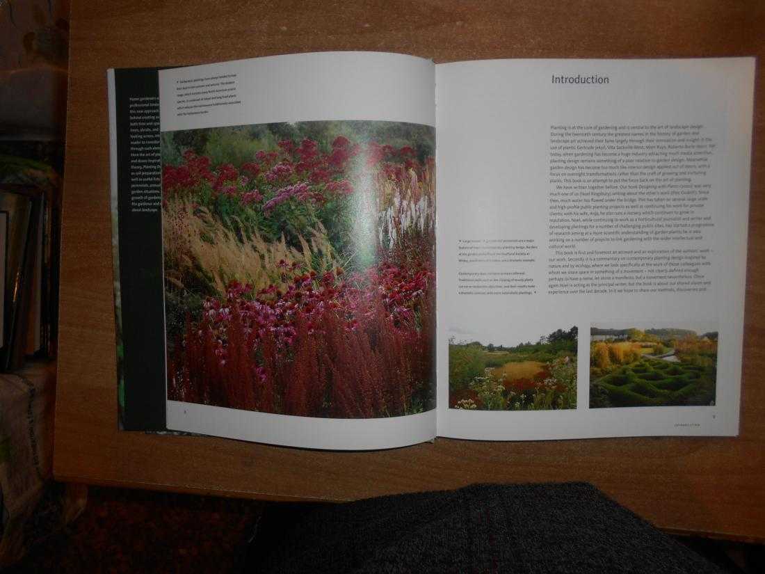 Planting Design. Gardens in time and space. PIET OUDOLF and NOEL KINGSBURY 2005 - immagine 6