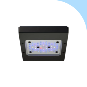 Ecotech Marine – Radion XR15W G6 BLU – NOLEGGIO