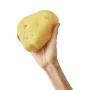 Cose della Natura – Fine Dama Sbiancata CORPO 12/14 gr