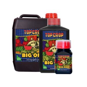 Top Crop BIG ONE Stimolatore di Fioritura Biologico