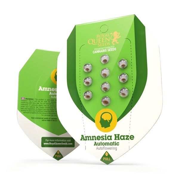ROYAL QUEEN SEEDS – AMNESIA HAZE AUTO - immagine 2