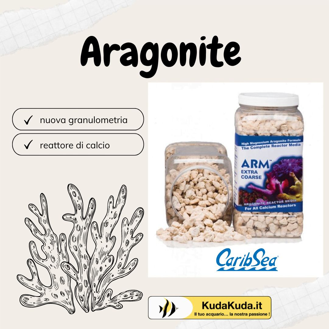 Carib Sea – ARM Reactor Media Extra coarse – Aragonite 3,7kg - immagine 4