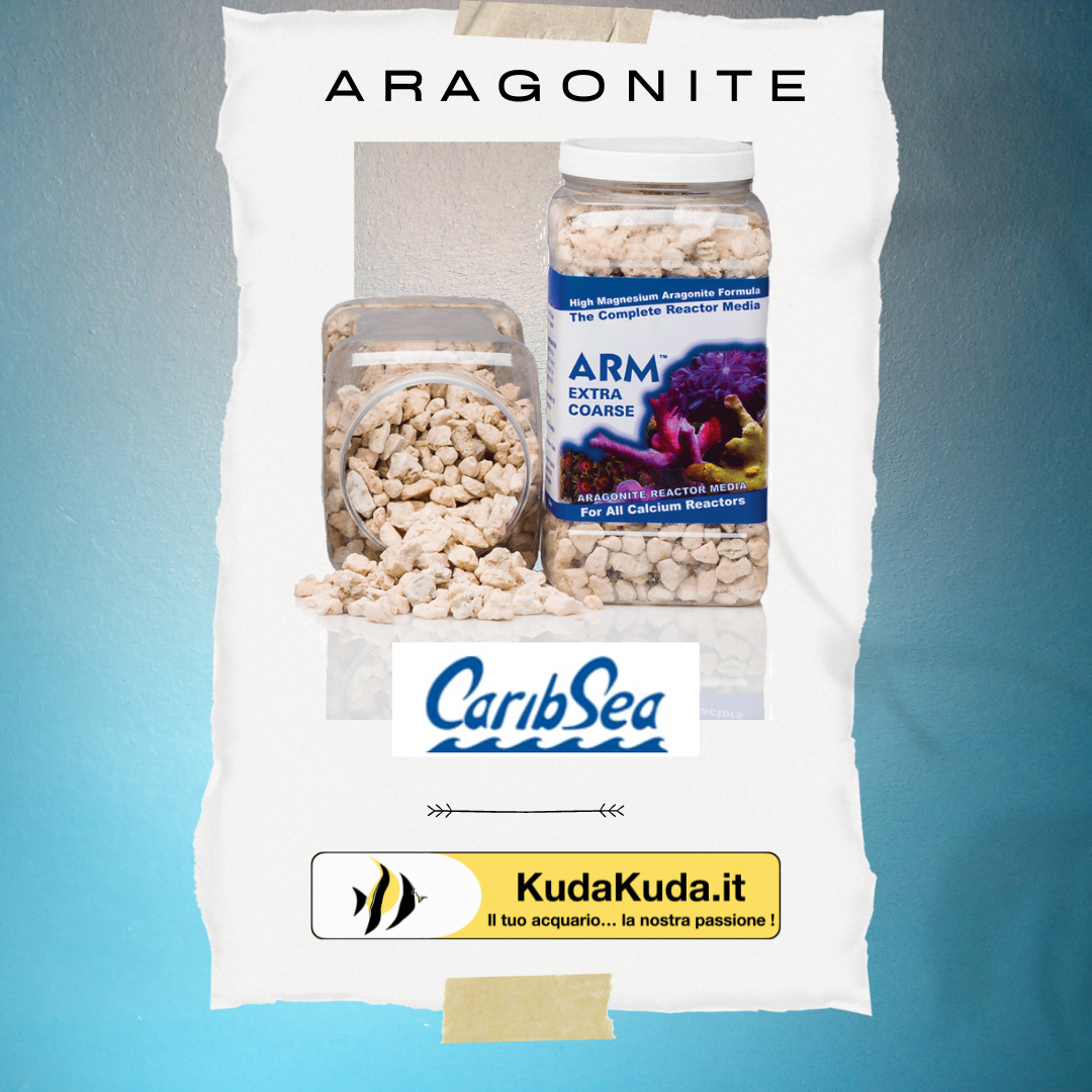 Carib Sea – ARM Reactor Media Extra coarse – Aragonite 3,7kg - immagine 3