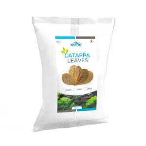 Whimar – Catappa S 10-15 cm – 20pz