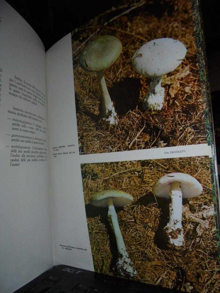 LE AMANITE. Nuovo metodo scientifico-pratico per conoscere i funghi basato sulla similarità della specie - immagine 4