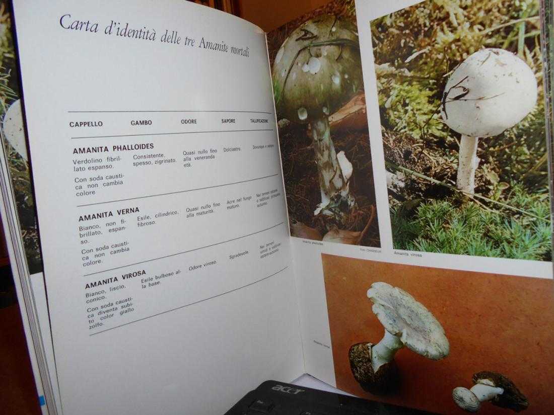 LE AMANITE. Nuovo metodo scientifico-pratico per conoscere i funghi basato sulla similarità della specie - immagine 6