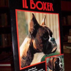 Il Boxer