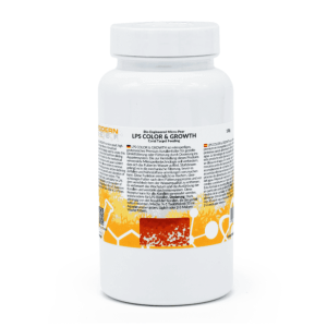 Modern Reef – LPS Color&Growth